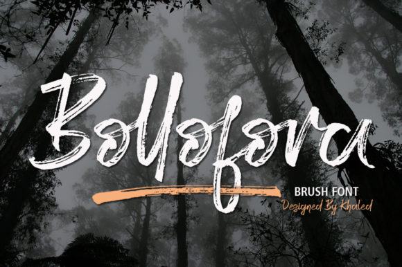 Bollofora: The Handwritten Font That Makes Your Campaign Message Click